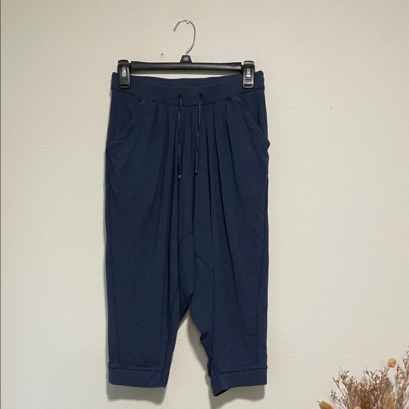 lululemon athletica Deep Blue Joggers - Picture 1 of 7
